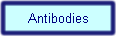 Antibodies